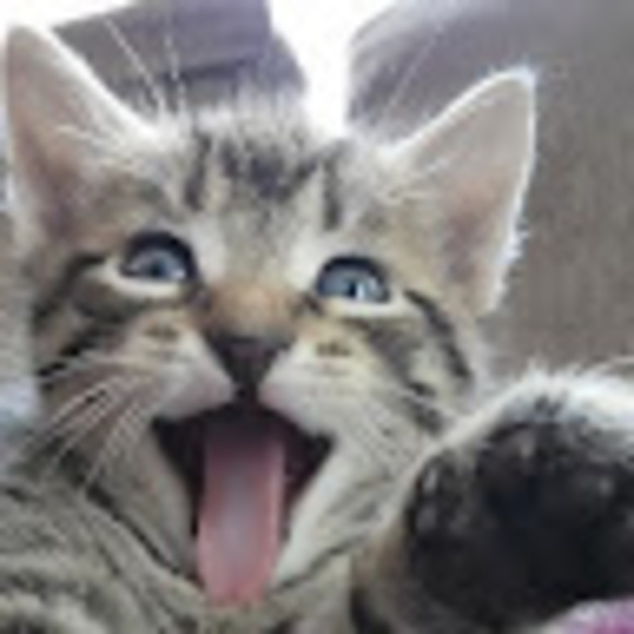 Meet your Posher, Alex - Picture 1 of 1